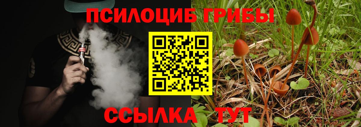 Галлюциногенные грибы прущие грибы  Вход с VPN  Сыктывкар  Галлюциногенные грибы Psilocybe 