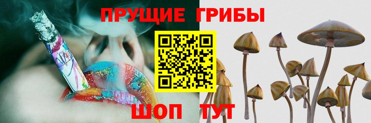 Псилоцибиновые грибы мухоморы Сыктывкар